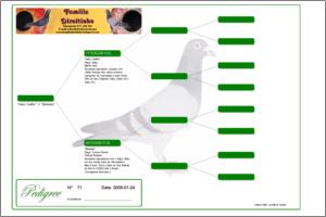 Pedigree Proforma