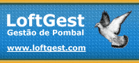 Visitar o Site do LoftGest