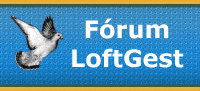 �ndice do F�rum do LoftGest