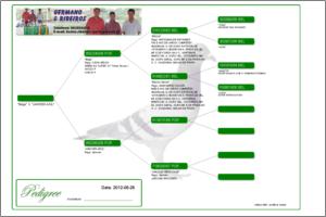 Pedigree Proforma