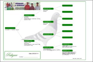 Pedigree Proforma