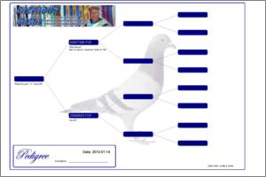 Pedigree Proforma