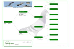 Pedigree Proforma