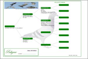 Pedigree Proforma